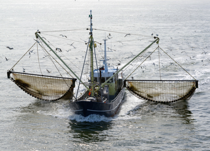 fishing boat trawler