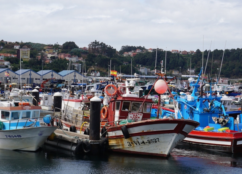 barcos de pesca en España