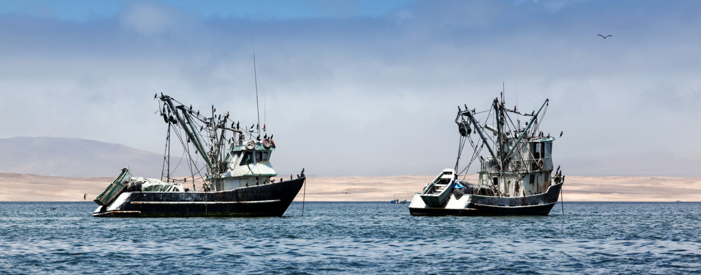 Two fishing boats on the water with many seabirds perched on their rigging