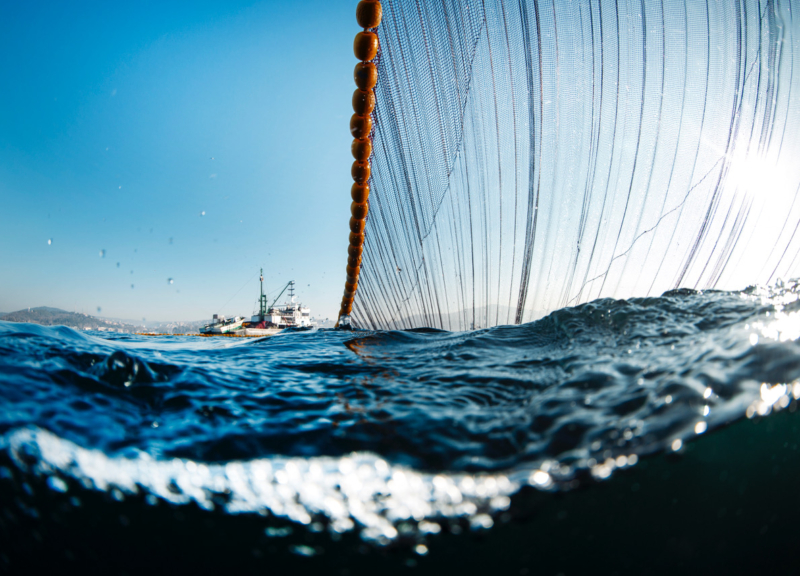 Boat hauling fishing net