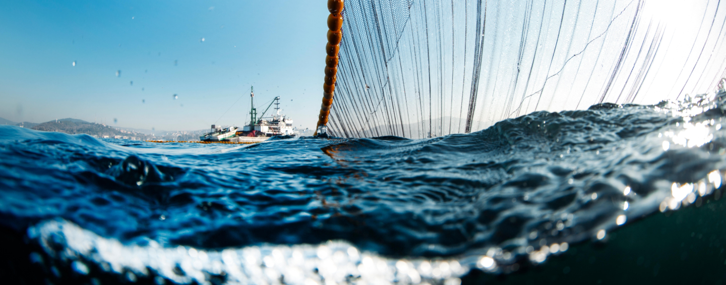 Boat hauling fishing net