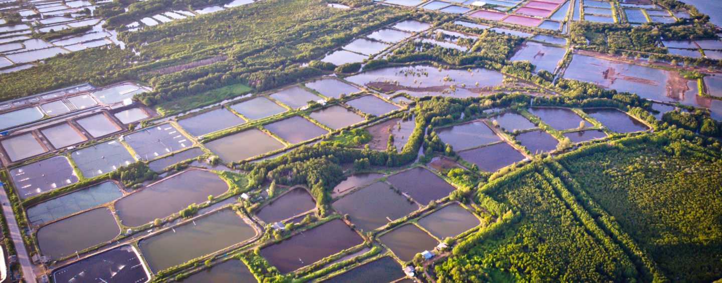 Aerial view of shrimp farm and air purifier in Thailand