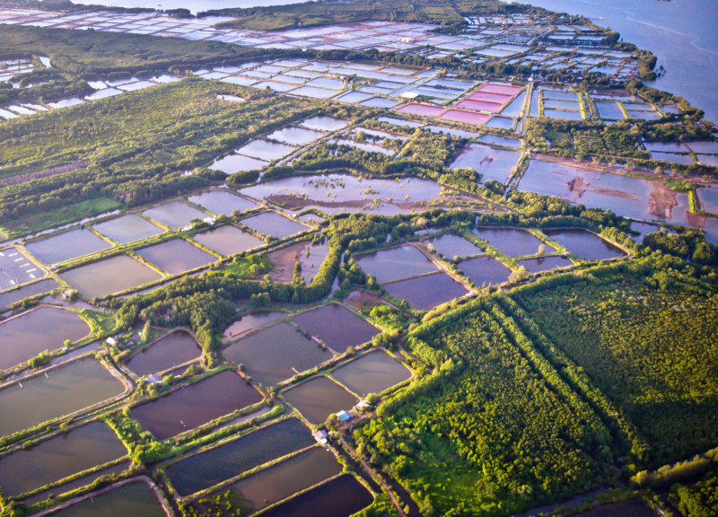 Aerial view of shrimp farm and air purifier in Thailand