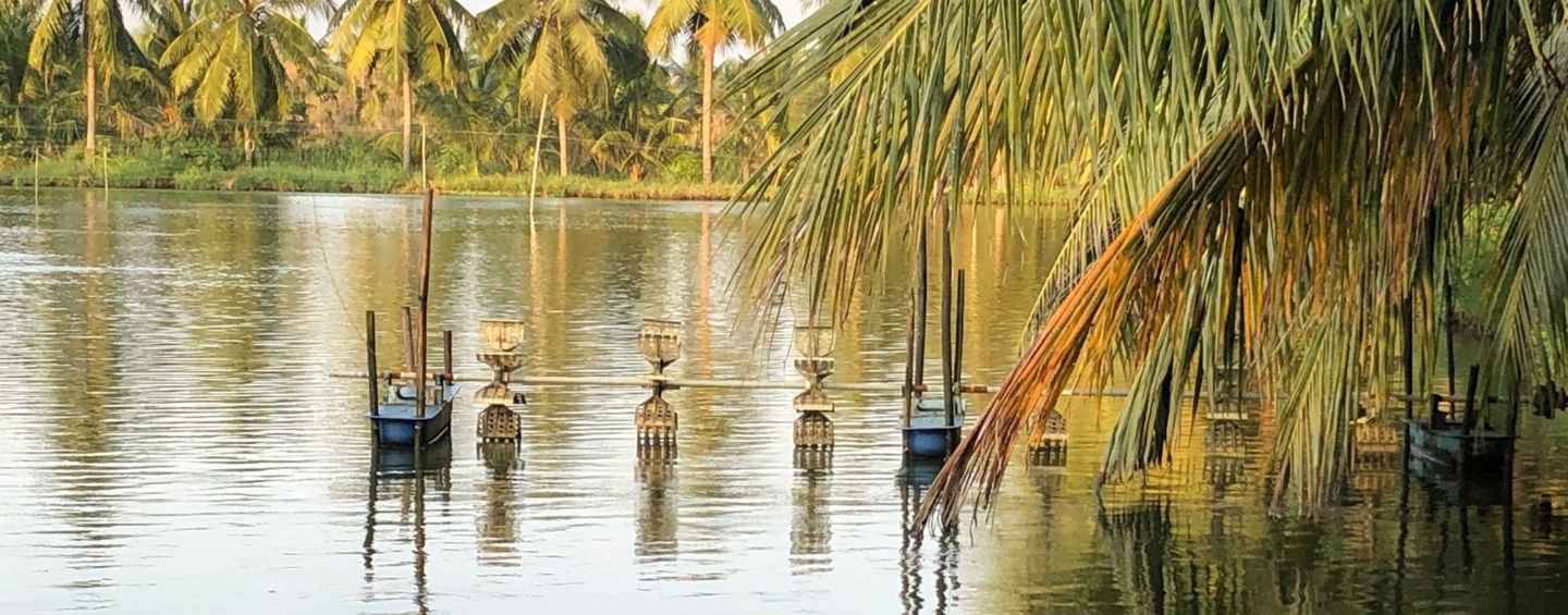 Shrimp aquaculture pond in Andhra Pradesh, India