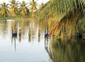 Estanque de acuicultura de camarones en Andhra Pradesh, India