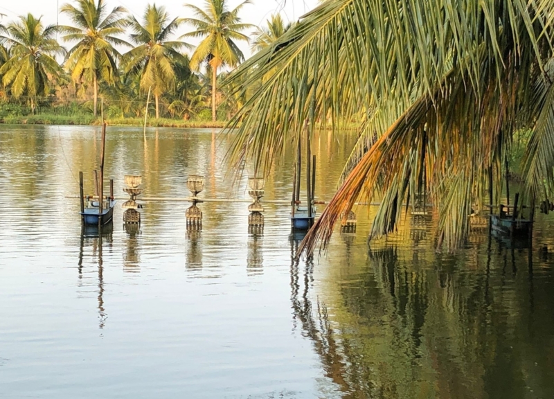 Shrimp aquaculture pond in Andhra Pradesh, India