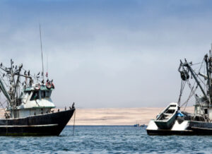 Dos barcos pesqueros en el agua con muchas aves marinas posadas en sus aparejos
