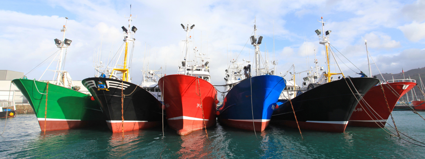 Colorful fishing boats