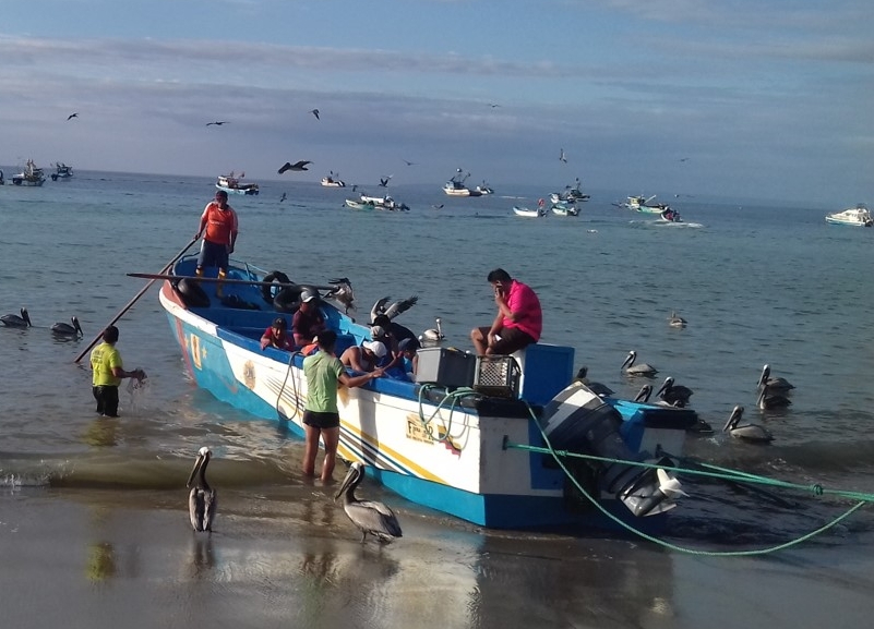 Mahi small-scale fishers