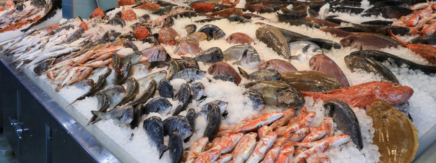 Fish counter