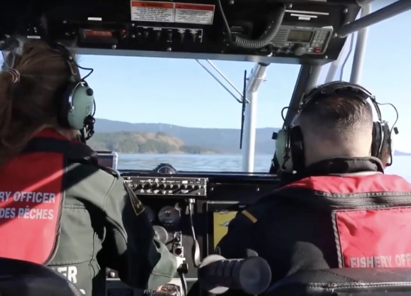 Fishery officers at sea