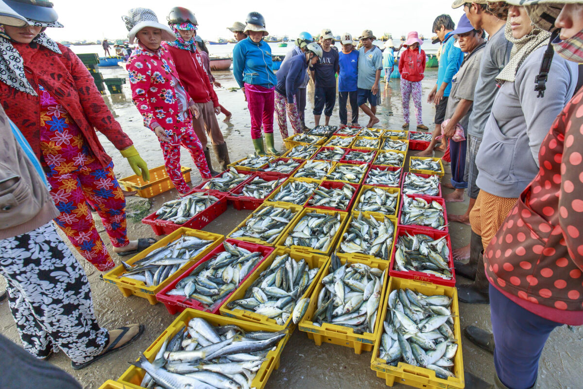 Group of people in brightly colored clothes gathered around yellow and red plastic bins full of fish at a fish auction in Vietnam