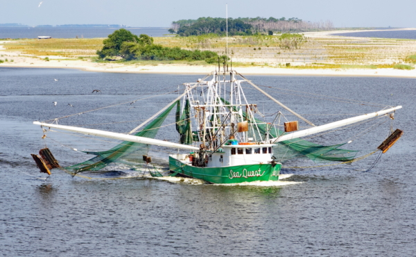 Gulf of Mexico shrimp fishing boat