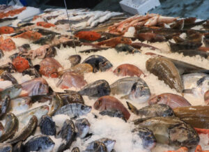 Fish counter