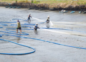 Workers using high pressure hoses to clean a shrimp pond
