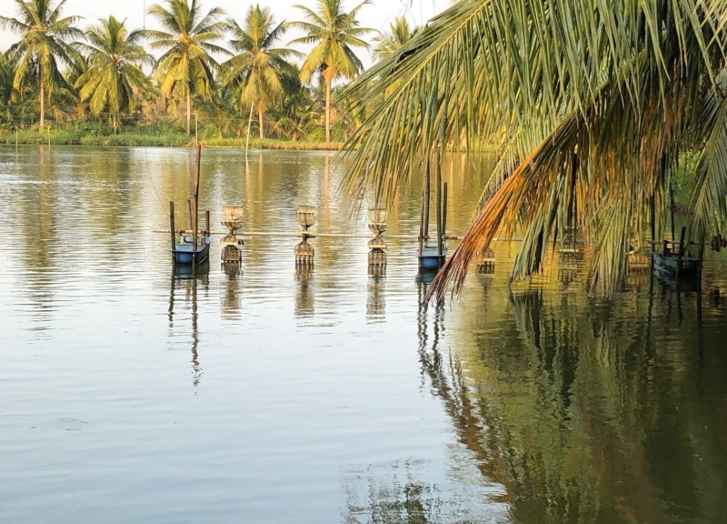 Shrimp aquaculture pond in Andhra Pradesh, India