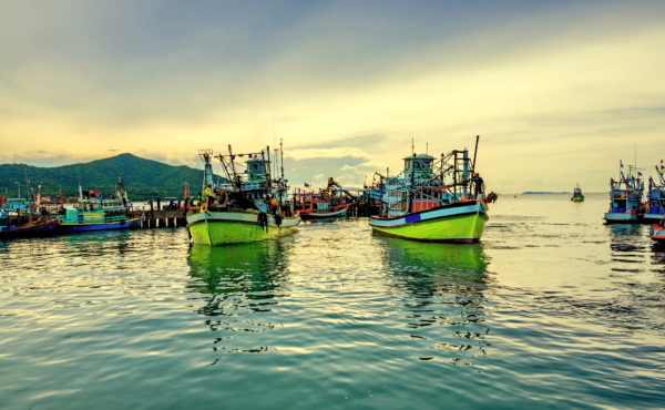 Fishing boats