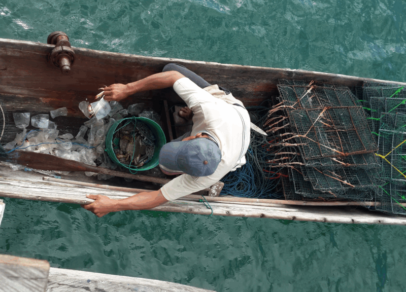 Empowering Small-Scale Fishers in Indonesia