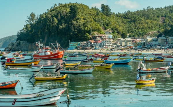 Colorful fishing boats in a bay