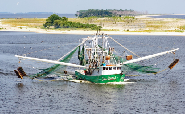 Gulf of Mexico shrimp fishing boat