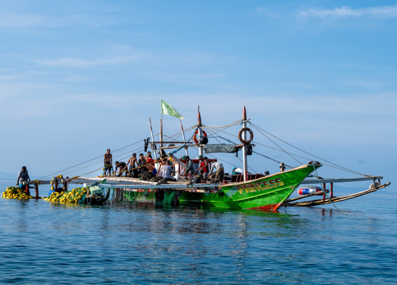 Fishermen in the early morning, Batangas, Philippines