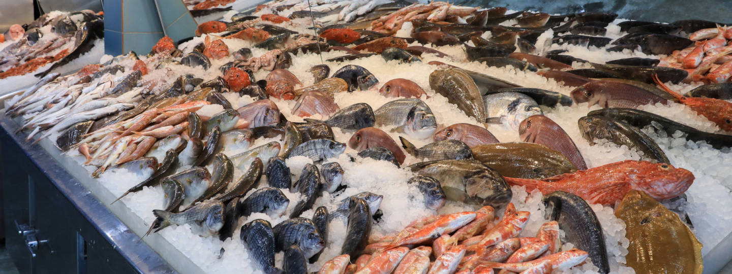 Fish counter