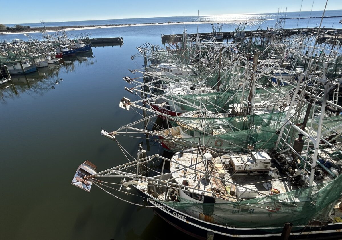 Shrimp boats lined up in a row in Biloxi harbor
