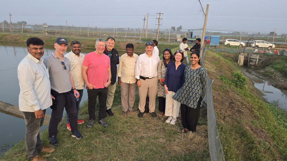 A group of people standing by the edge of a shrimp pond in Andhra Pradesh, India