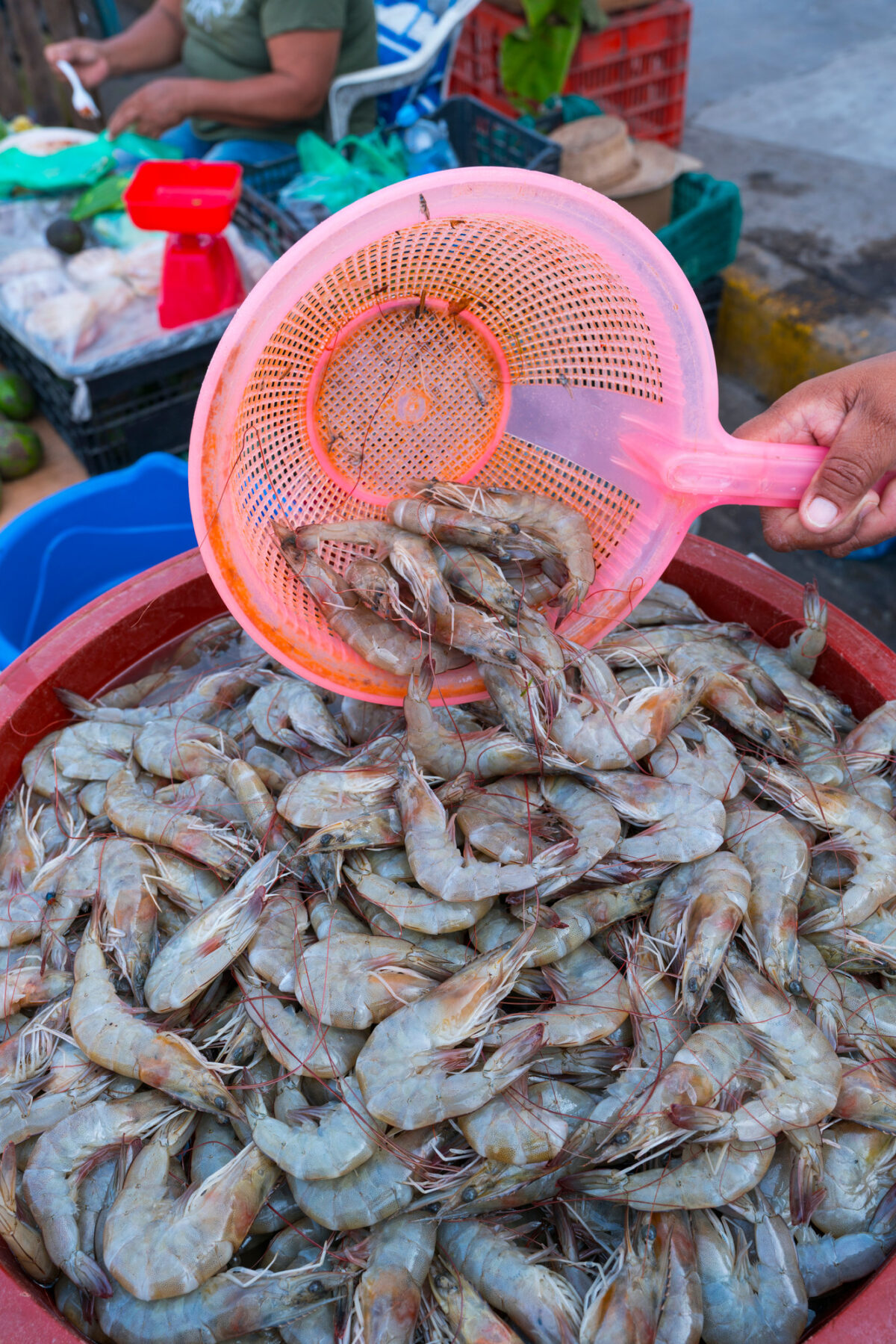 Fresh shrimp being scooped out of a pink barrel in a market in Mexico