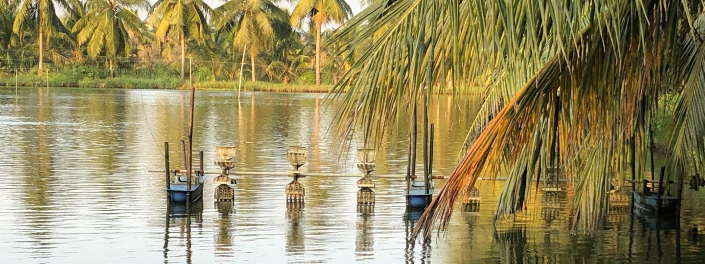 Shrimp farming pond bordered by palm trees in Andhra Pradesh, India