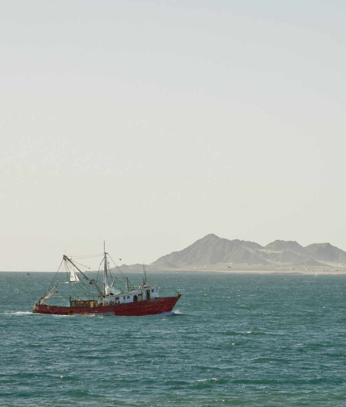 A red-hulled shrimping boat on the Sea of Cortez, with a mountainous coastline in the misty background