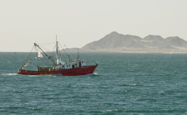 A red-hulled shrimping boat on the Sea of Cortez, with a mountainous coastline in the misty background