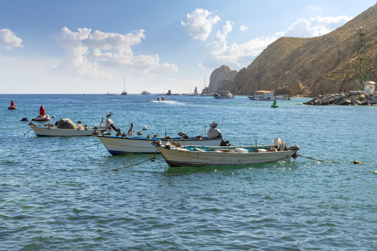 Three small fishing boats lined up in a bay in Cabo San Lucas, Mexico, with a rocky, hilly coastline behind them and white fluffy clouds above