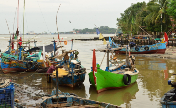 Colorful blue swimming crab fishing boats in a bay