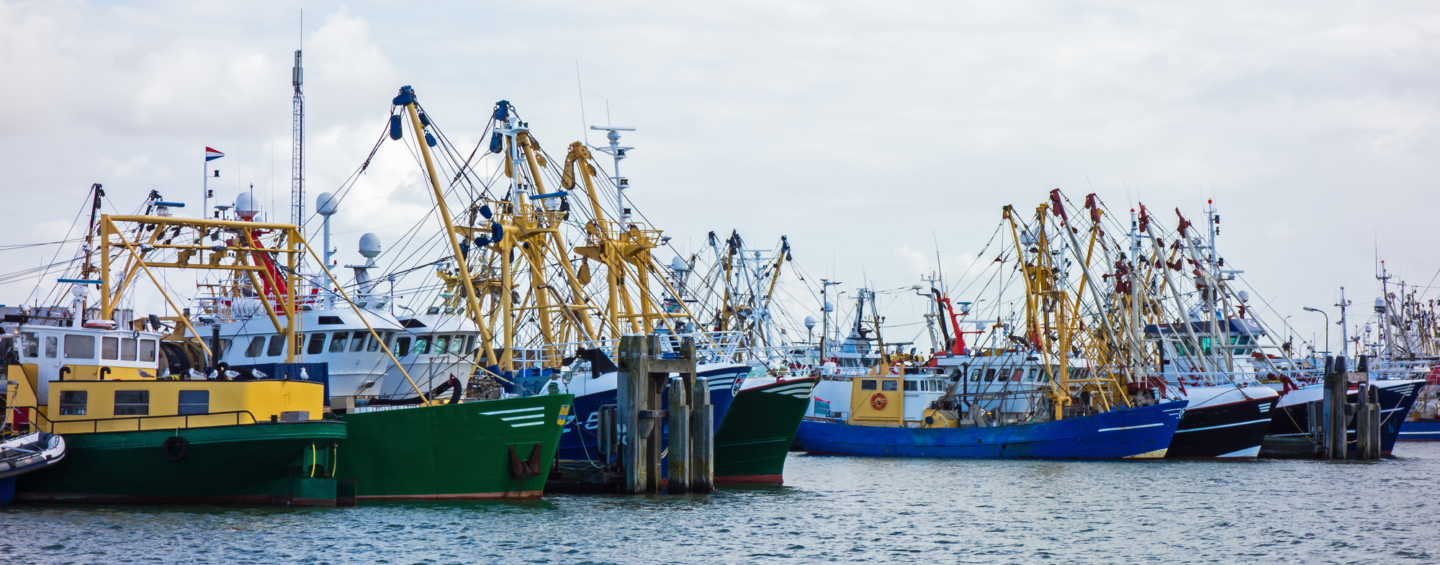 Fishing vessels lined up in harbor