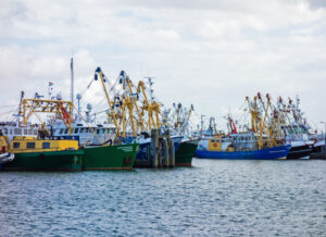 Fishing vessels lined up in harbor