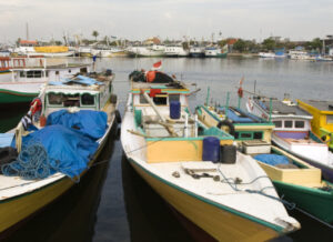 Colorful fishing boats lined up in Makassar harbor