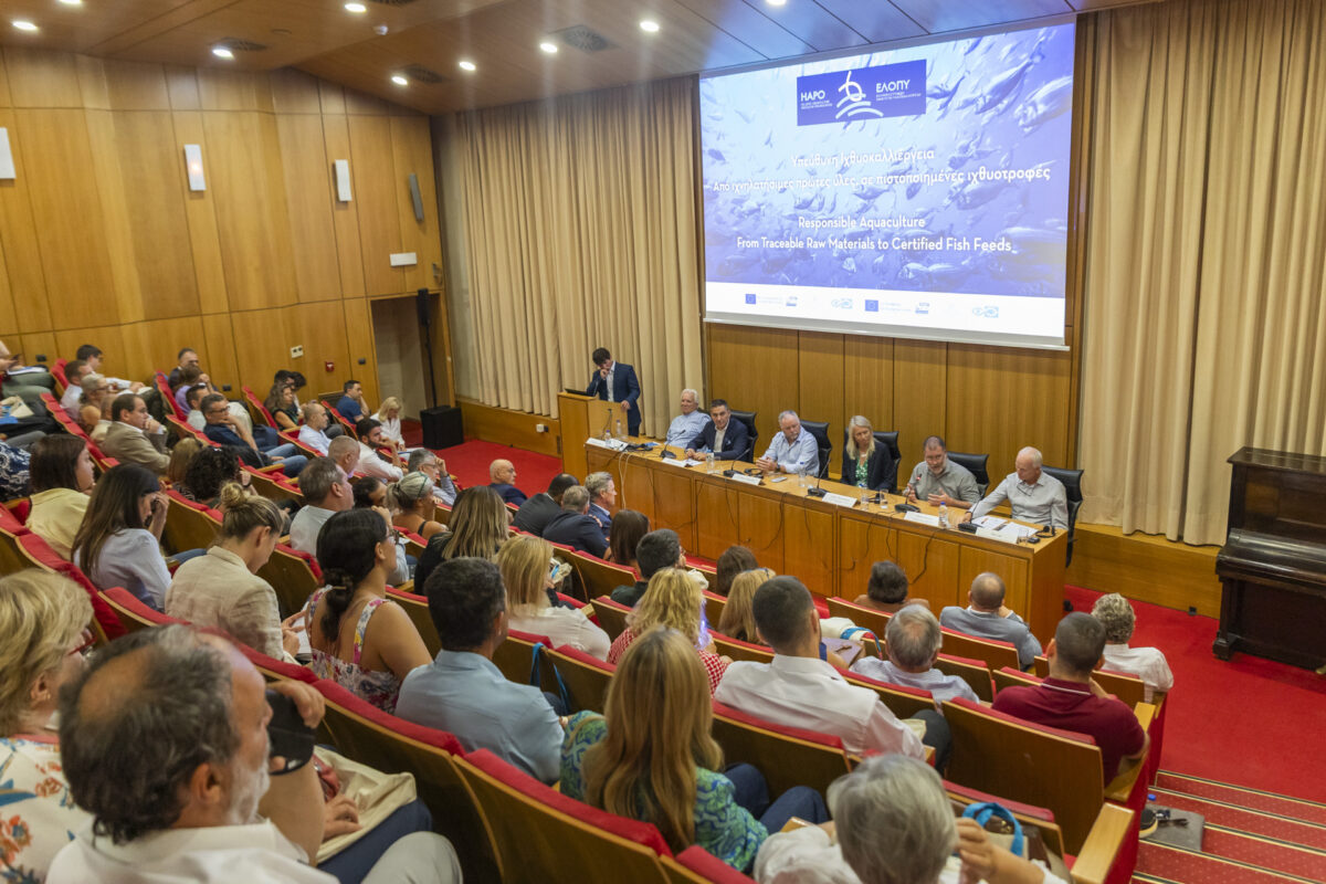 Workshop panel at Greek conference - Dave's blog