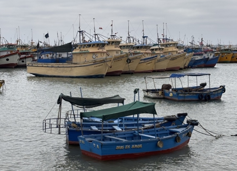 A row of yellow boats in the background with smaller blue boats in the foreground, in a harbor