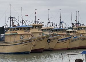 Une rangée de bateaux jaunes à l'arrière-plan avec des bateaux bleus plus petits au premier plan, dans un port.