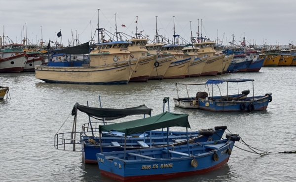 A row of yellow boats in the background with smaller blue boats in the foreground, in a harbor