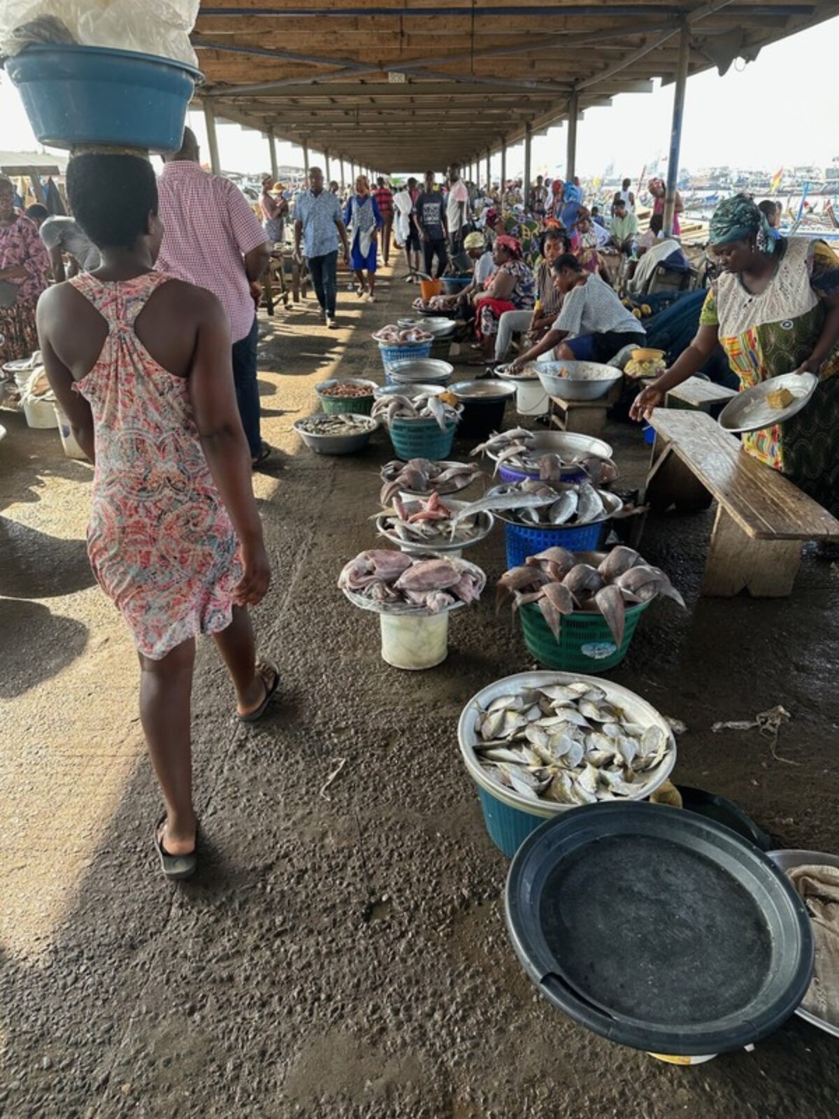 A fresh fish market in Ghana