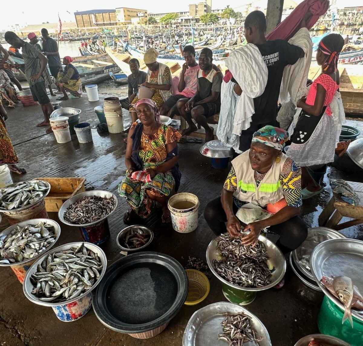 a fresh fish market in ghana, with multiple women sitting on stools in front of buckets of freshly caught fish