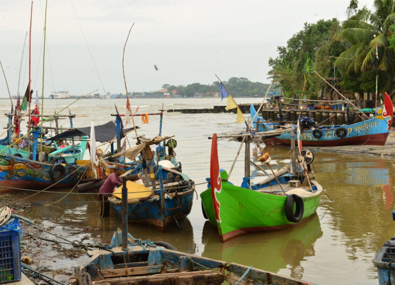 Colorful blue swimming crab fishing boats in a bay