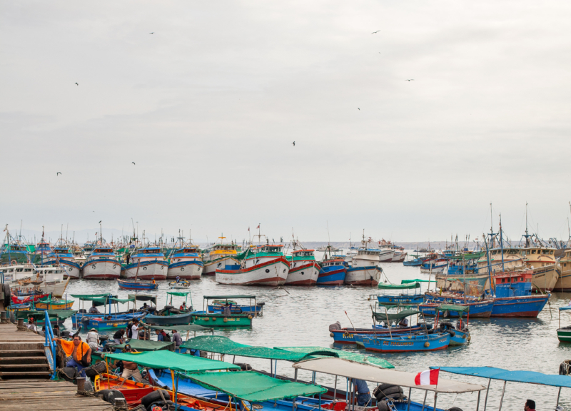 Peru small-scale fisher boats