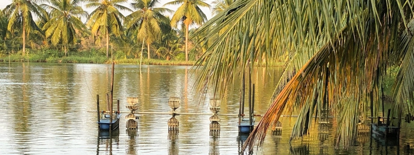 Shrimp aquaculture pond in Andhra Pradesh, India