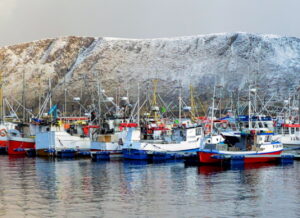 Fishing boats lined up in a harbor with snow-covered mountains in the background