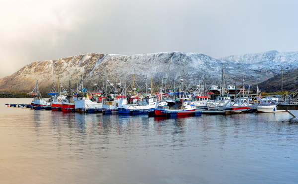 Fishing boats lined up in a harbor with snow-covered mountains in the background