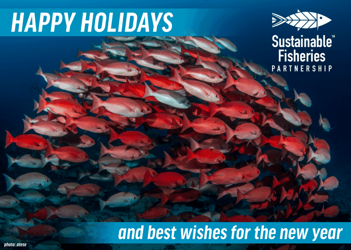 SFP 2025 Holiday card, showing a school of bright red fish against a blue ocean background, with the SFP logo and the words 