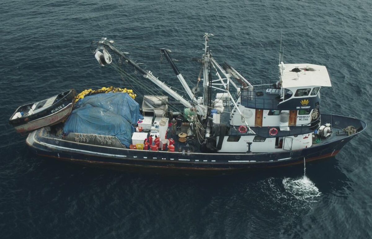 A small pelagics fishing vessel on the sea